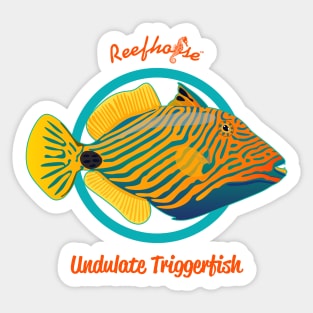 Undulate Triggerfish Sticker